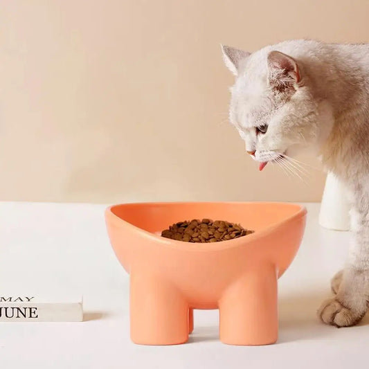 Gamelle pour animaux de compagnie