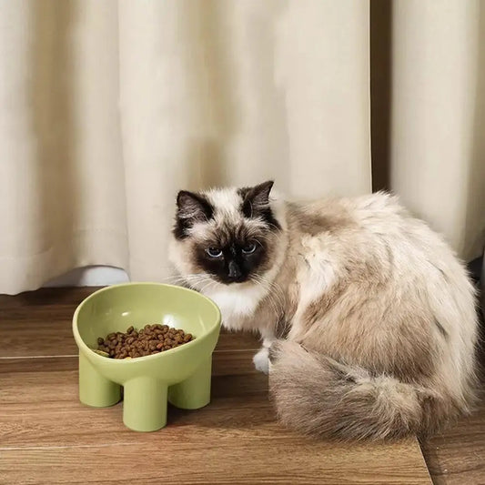 Gamelle pour animaux de compagnie
