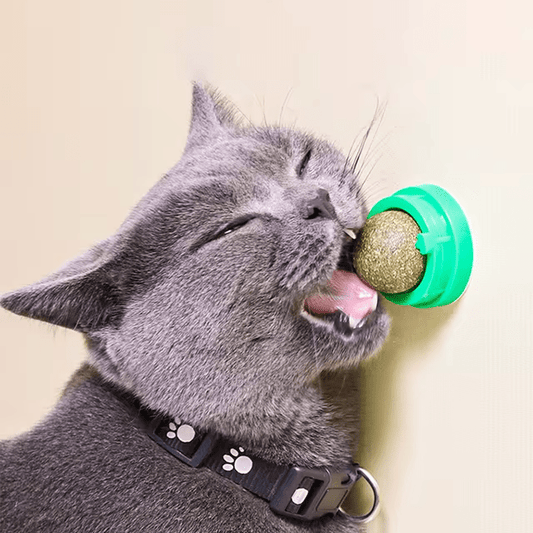 Stick - on Ball - GAUDLUS