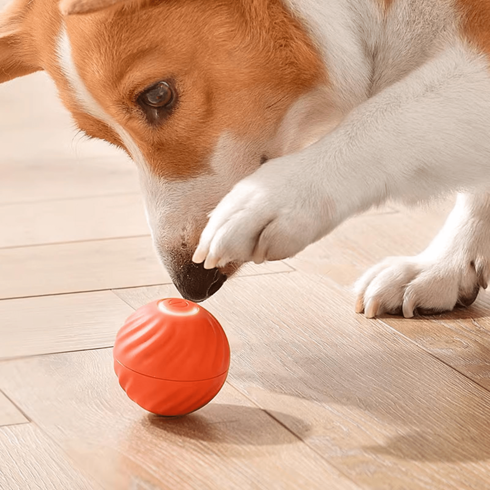 Electric Dog Toys - GAUDLUS