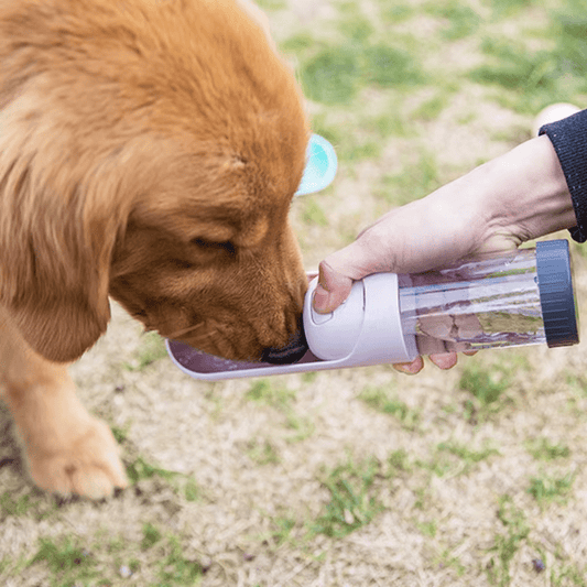 Travel Drinking Bowl - GAUDLUS
